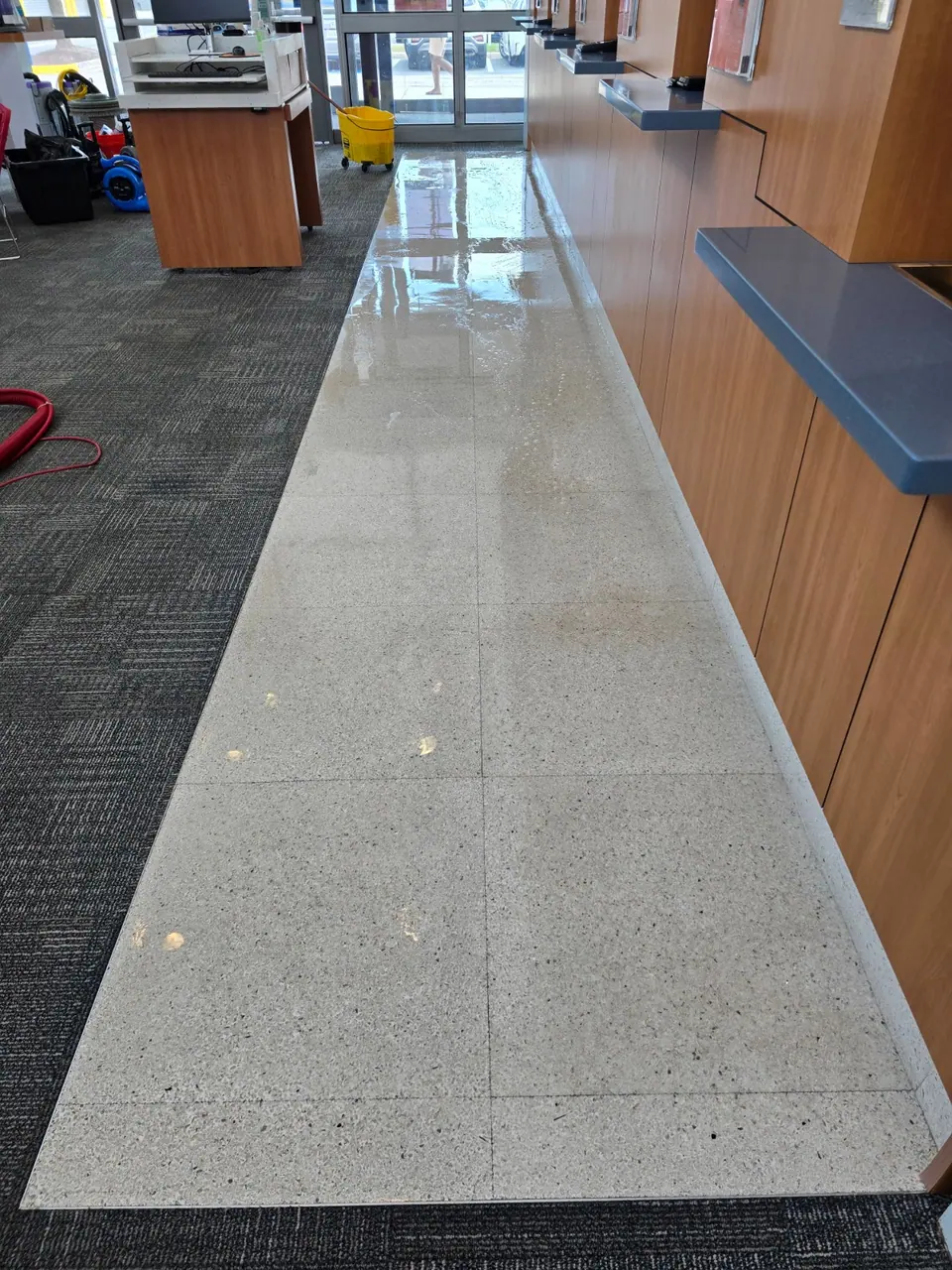 Terrazzo floor during the recoating stage.